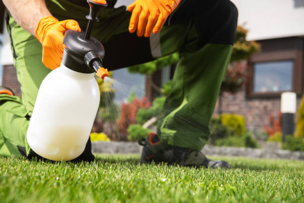 Best Residential Pest Control  in Lamar, CO