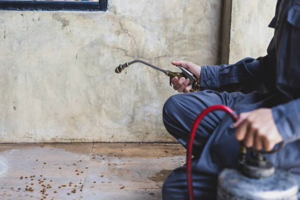 Professional Pest Control in Lamar, CO