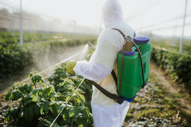 Best Affordable Pest Control Services  in Lamar, CO